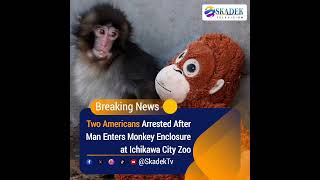 Two Americans Arrested After Monkey Enclosure Incident in Japan