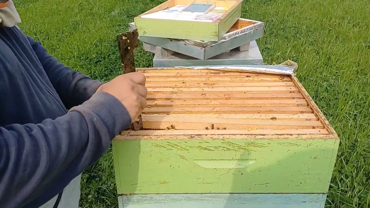 pcelarstvo nemacka tehnika rada sa termo daskama V deo