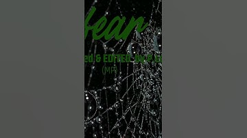 FEAR: produced &edited by P.Leete (MP)