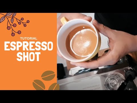 Video: Cara Membuat Espresso Yang Benar