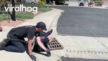 Fire Department Rescues Ducklings From Storm Drain || ViralHog