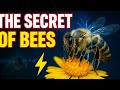 How Bees Use Electricity to Find Flowers! ⚡🐝🌸 Nature’s Secret
