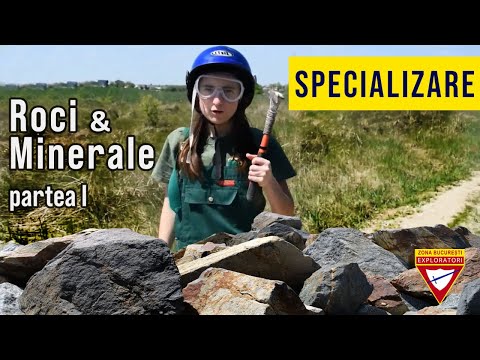 Video: Cum denumim rocile sedimentare clastice?