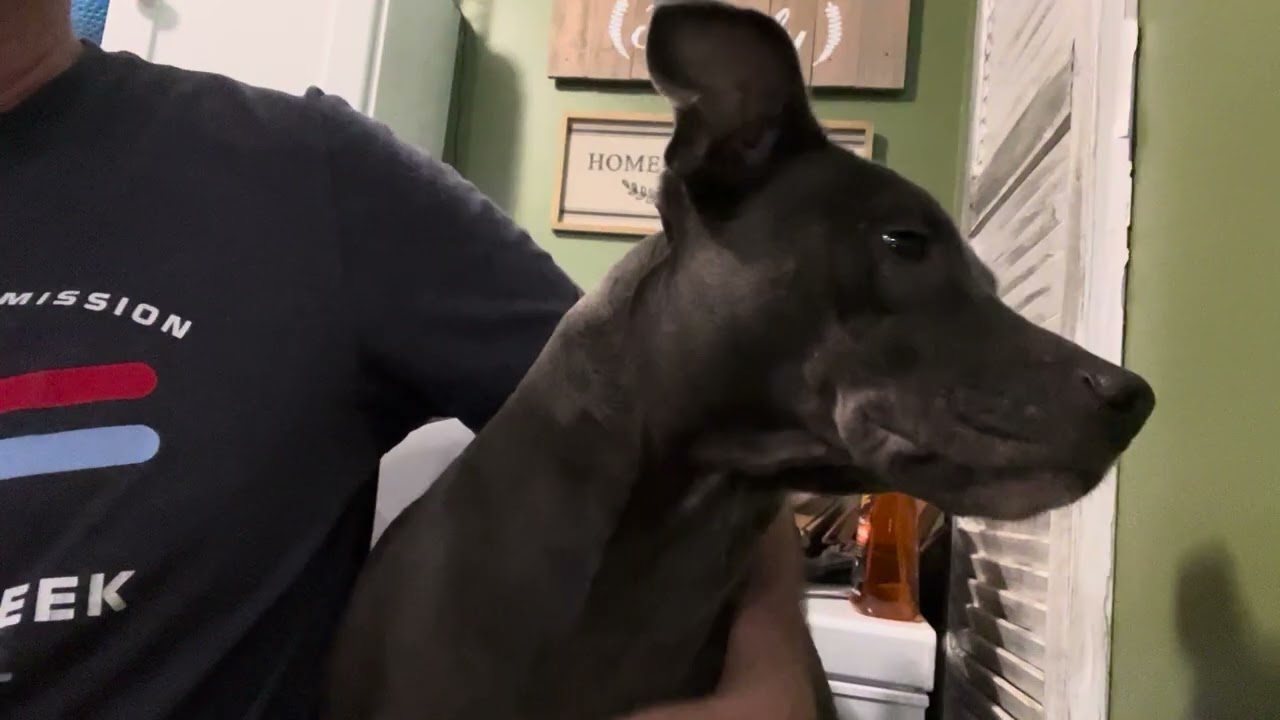 Grunt, yet she prefers to be next to me regardless of how much room she has LOL. 