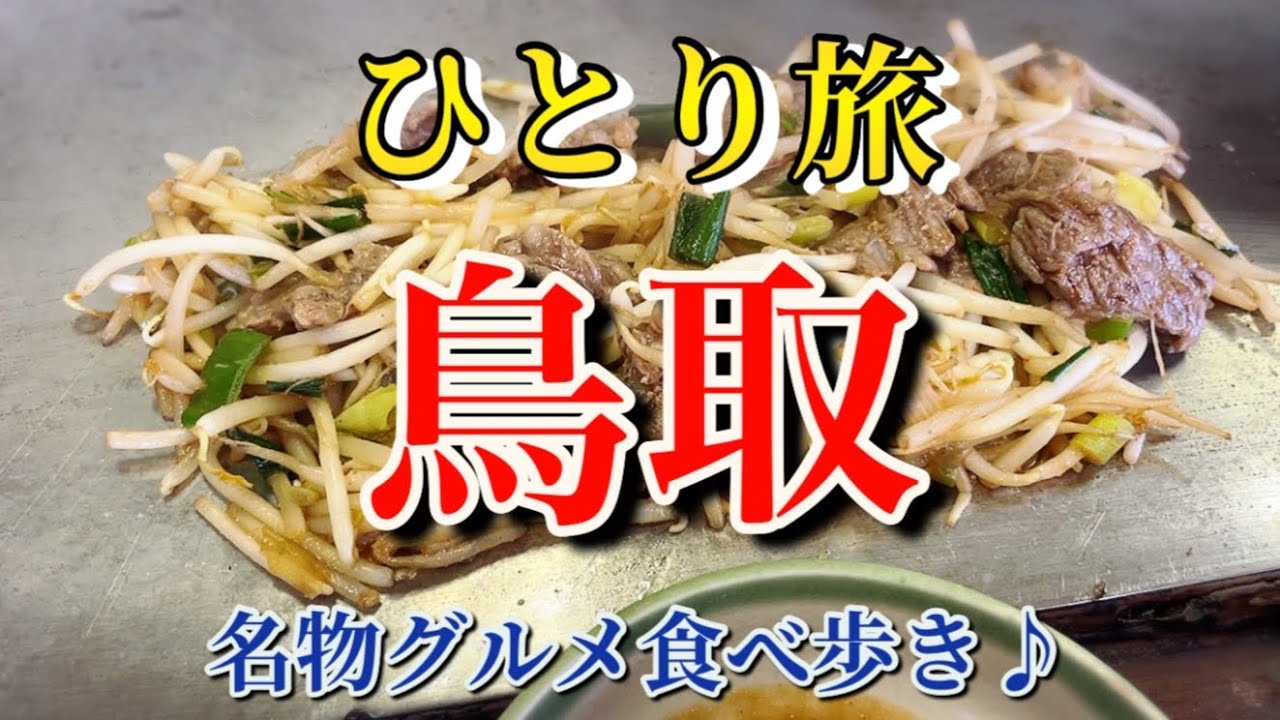 【鳥取】【ひとり旅】絶品鳥取グルメ食べ歩き♪【ホルモン・居酒屋・ラーメン】
