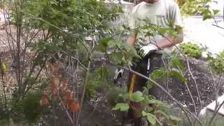 Jack Dong Eagle Project Instructional Video HD