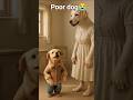 “This Dog Has No New Clothes…”#shorts #poordog #dog #emotional #shorts #viral