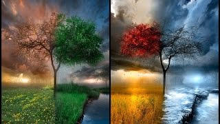 Михаил Казиник. Музыка, которая вернулась. Путешествие в мир музыки прошлого. Михаил Казиник. Музыка, которая вернулась. Путешествие в мир музыки прошлого.