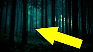 99% ЛЮДЕЙ НЕ МОГУТ УВИДИТЬ ВОЛШЕБНОГО ЭЛЬФА В ЛЕСУ! 99% ЛЮДЕЙ НЕ МОГУТ УВИДИТЬ ВОЛШЕБНОГО ЭЛЬФА В ЛЕСУ!