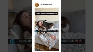 Kedi Sahipleri Anlayabilir Sadece
