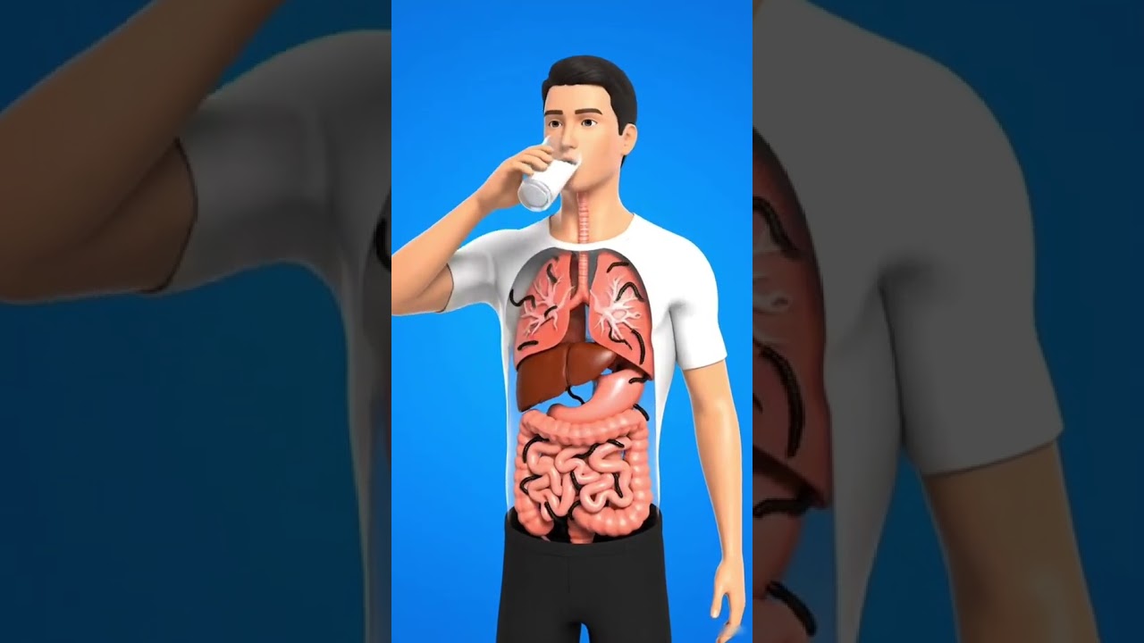 The Amazing Journey of Milk Inside your Body | 3D Animated Content 