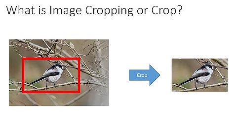 Crop Images in Python using OpenCV and PyCharm