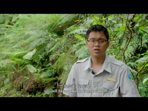 English Introduction to Walami  (Yushan National Park)