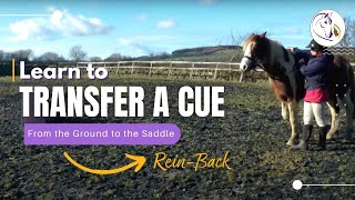 Transfer a Cue From the Ground to the Saddle: Rein-Back