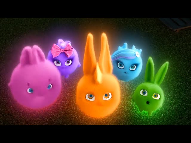 Sunny Bunnies | Shiny Bright Bunny | COMPILATION | Videos For Kids class=