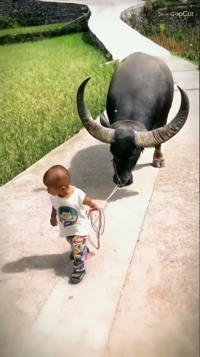 #cute baby #kalabaw