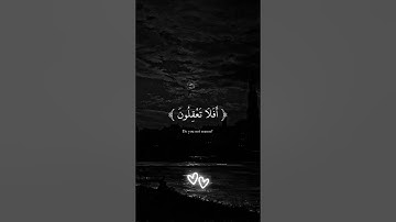 ( أتأمرون الناس بالبر وتنسون انفسكم ) تلاوه هادئه من القارى عبد الرحمن مسعد #قرآن #عبدالرحمن_مسعد