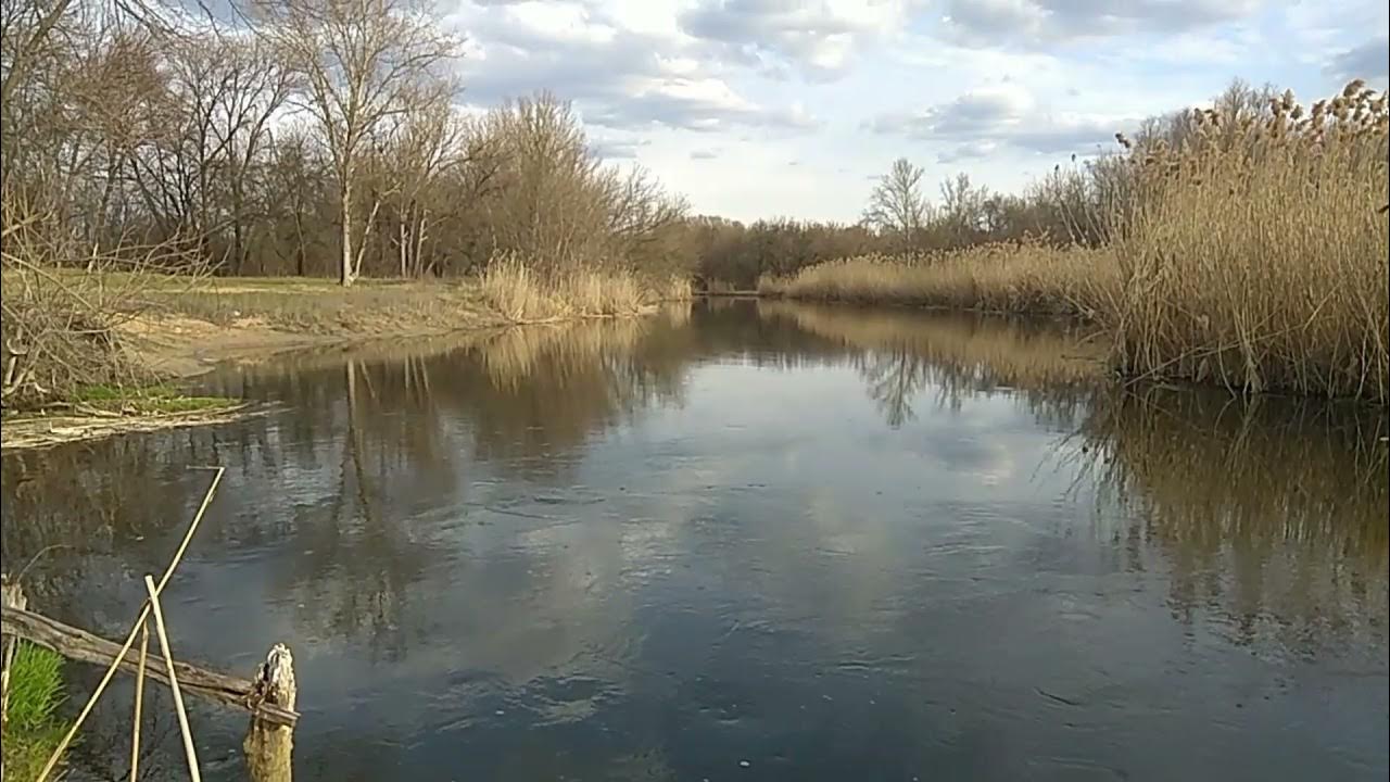 Погода в луганской обл на 10