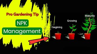 NPK fertilizer Management for plant growth
