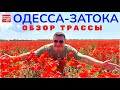 Затока 2021 Едем на море через МАКОВОЕ ПОЛЕ / Автопутешествие на YouTube канале Взрослый разговор