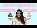 • MI EXPERIENCIA ESTUDIANDO DISEÑO Y DECORACIÓN INTERIORES• Mela Quesada