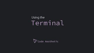 Using the Terminal