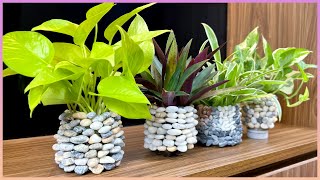 Your potted plants will be eye catching with this simple method