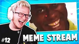 Best Of Mini Ladds MEME STREAM Compilation #12