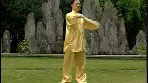 LIANG GONG HOU SHI BA FA   18 TERAPIAS POSTERIOR