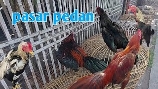 Update harga ayam di pasar pedan klaten pasar terlengkap dan teramai di jawa tengah