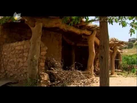 Tahsin Taha Seyrani Me 