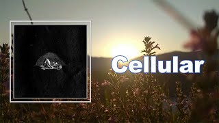 King Krule - Cellular (Lyrics)
