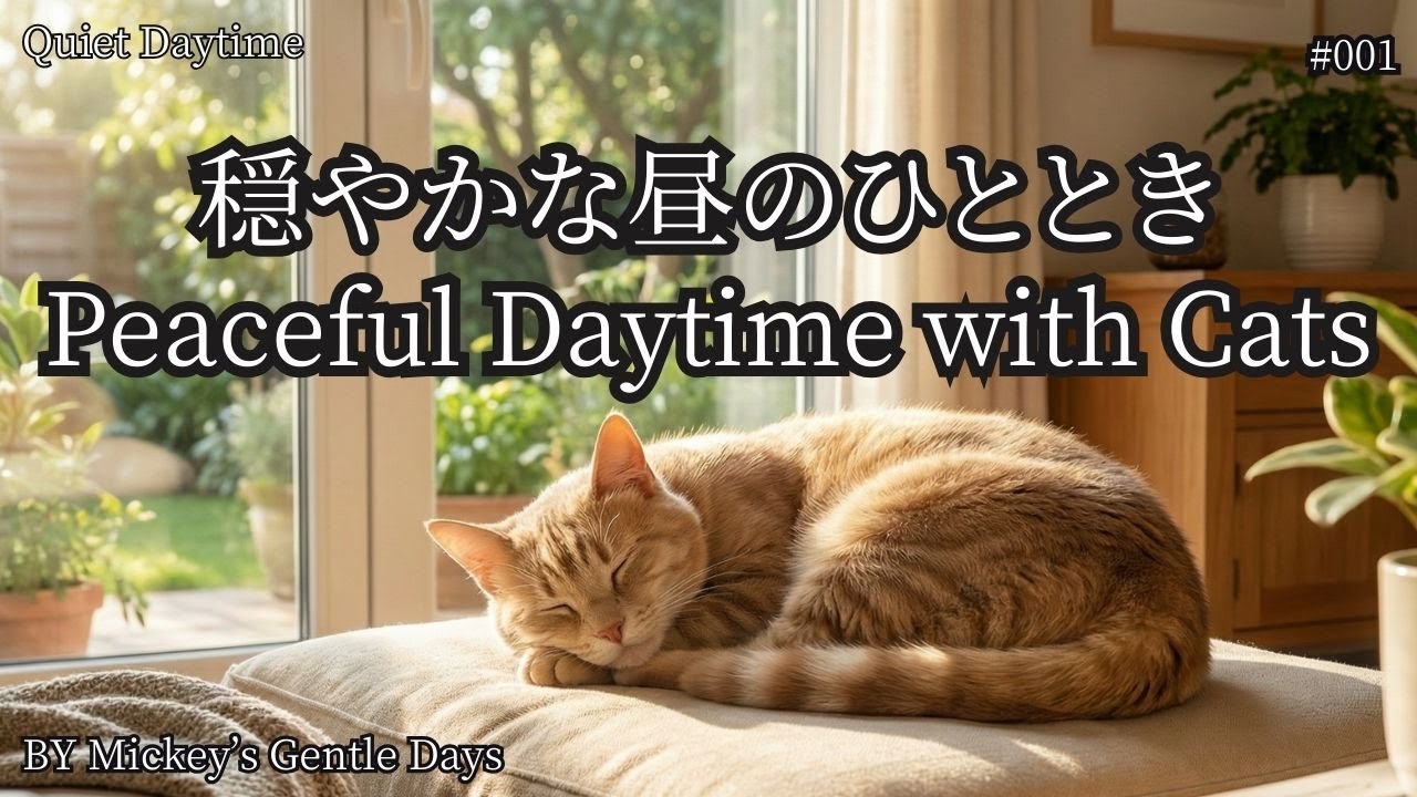 【日中】猫と穏やかに過ごすBGM｜Quiet Daytime #001 | Calm Ambient Music for Cats & Peaceful Daytime
