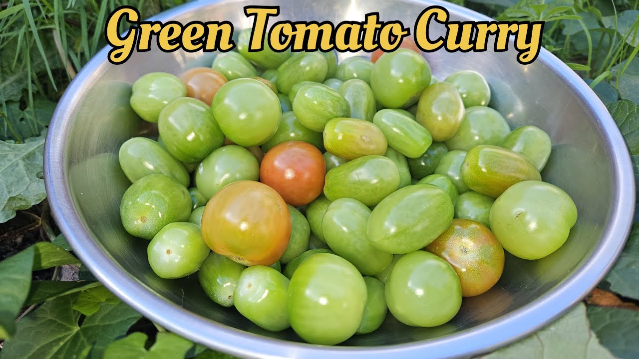 Tenga Shira with Salmon Fish (ASMR)