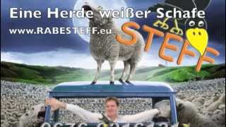 eine herde weißer schafe