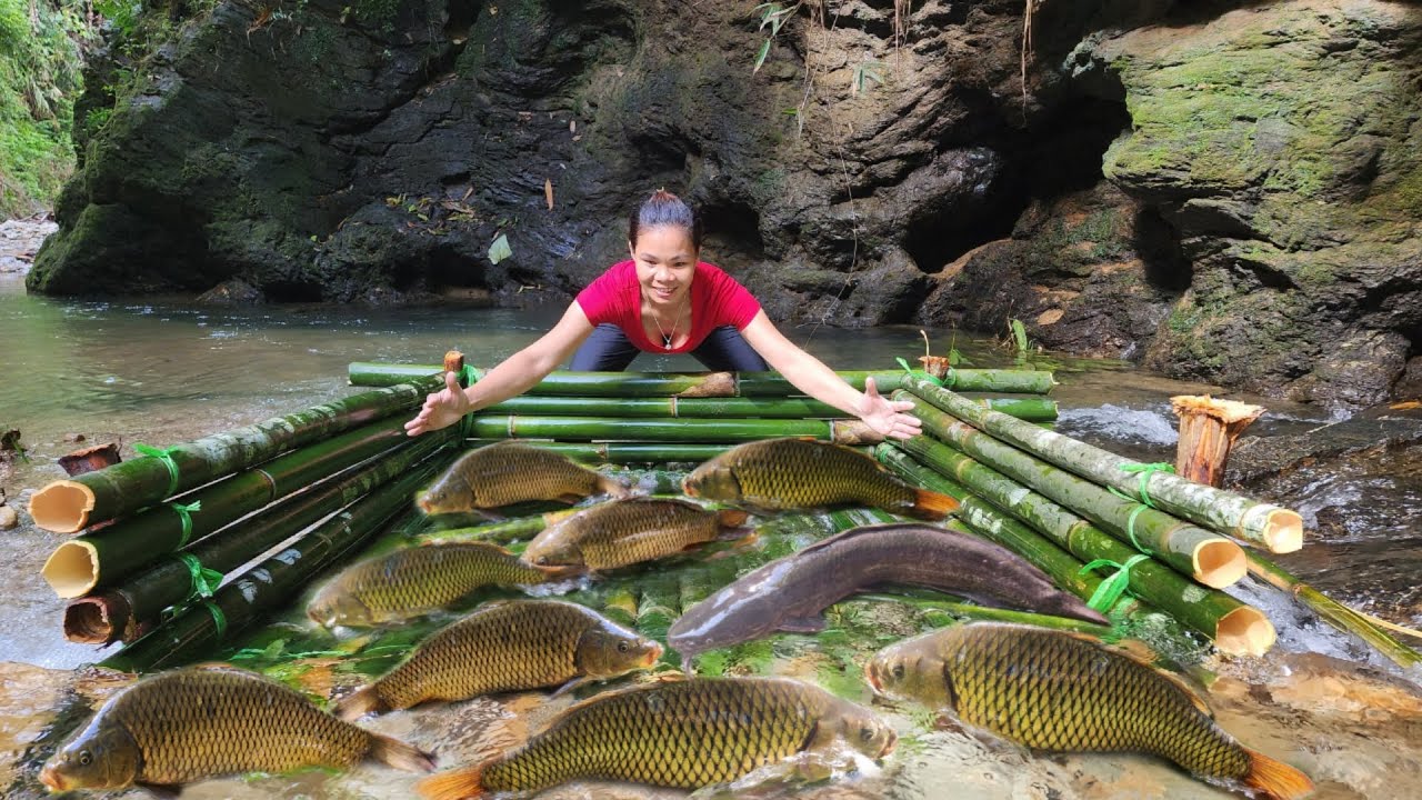 Use bamboo as a trap to catch fish in the stream. Suddenly caught many ...