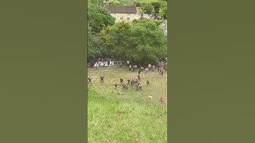 New angle of the man who went FLYING at the cheese rolling