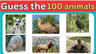 Can You Guess 100 Animals in 3 Seconds ? | General Knowledge Quiz