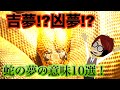 【夢占い辞典】蛇の夢の意味10選！開運や金運アップの吉夢？それとも凶夢？