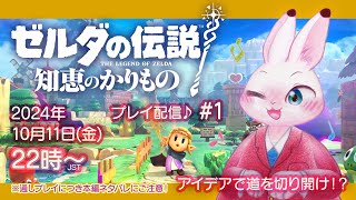 【ゼルダの伝説 知恵のかりもの】#1 アイデアで道を切り開け！？ かりもの冒険譚♪