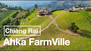 FLYING Over Ahka FarmVille (อาข่า ฟาร์มวิลล์ เชียงราย) Sheep Farm Chiang Rai By DRONE