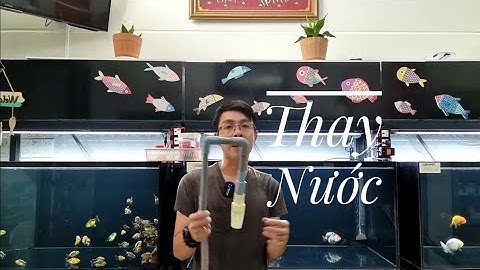 Fish 103: Quá trình thay nước cho hồ cá ở AZRanchu có gì đặc biệt