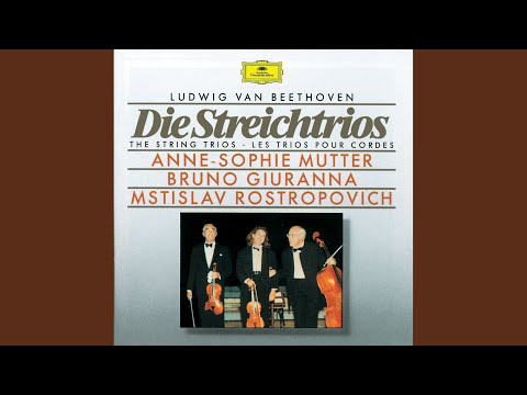 Beethoven: Serenade for String Trio in D Major, Op. 8: IV. Allegretto alla Polacca