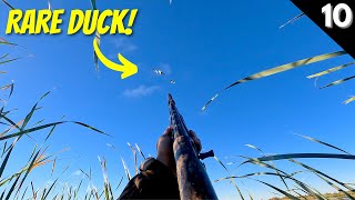 DUCKS, CRANES, & GEESE Over Water | Duck Hunting 2022