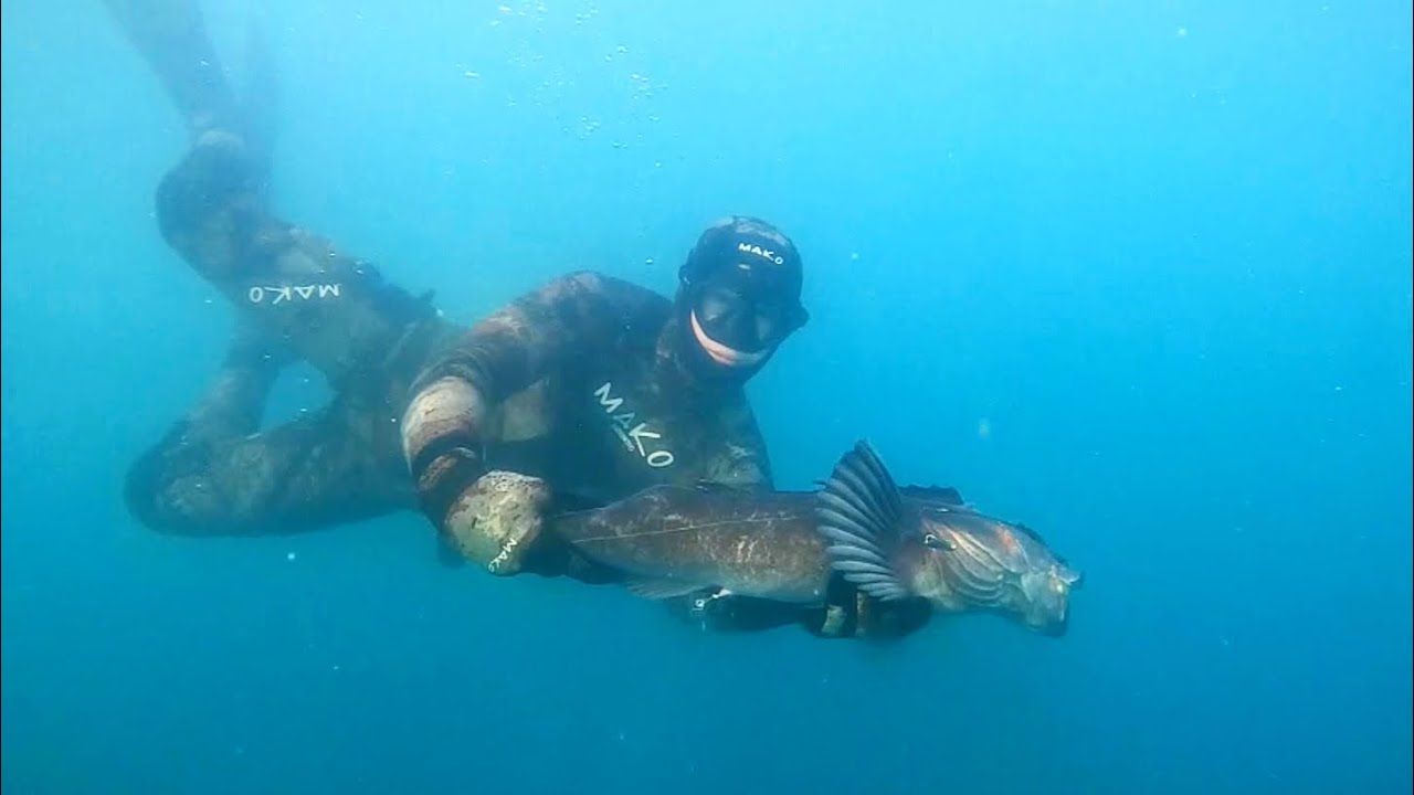 Spearfishing the Oregon Coast YouTube