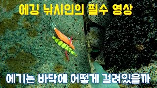 에깅낚시 바닥에 어떻게 걸려있을까 (밑걸림 확인) by 실전생활낚시 1,963 views 1 year ago 4 minutes, 30 seconds