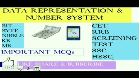Data Representation & Number System in computer important MCQs for CET HSSC SSC EXAMs