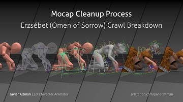 Mocap Cleanup Process - Erzsebet Crawl Breakdown