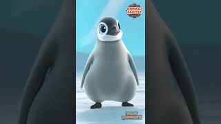 Learn About Emperor Penguins with Team Mekbots!