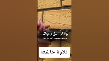 تلاوة خاشعة ومؤثرة لفضيلة الشيخ القارئ ماهر المعيقلي #اكسبلور #المصحف #راحة_نفسية #الرحمن #لايك
